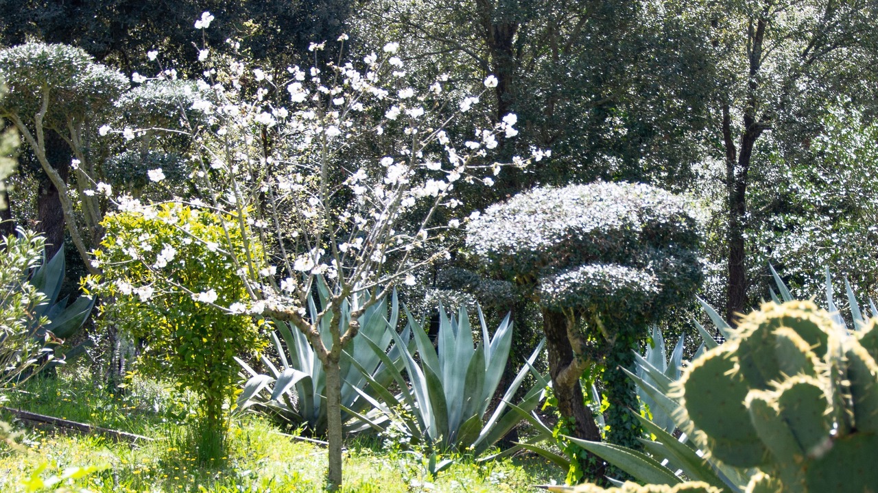 Photo of Outdoor in Vidreres