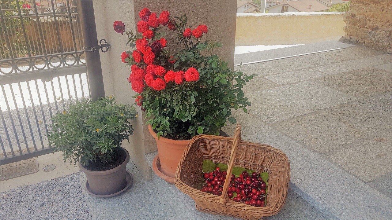 Photo of Outdoor in Villar San Costanzo