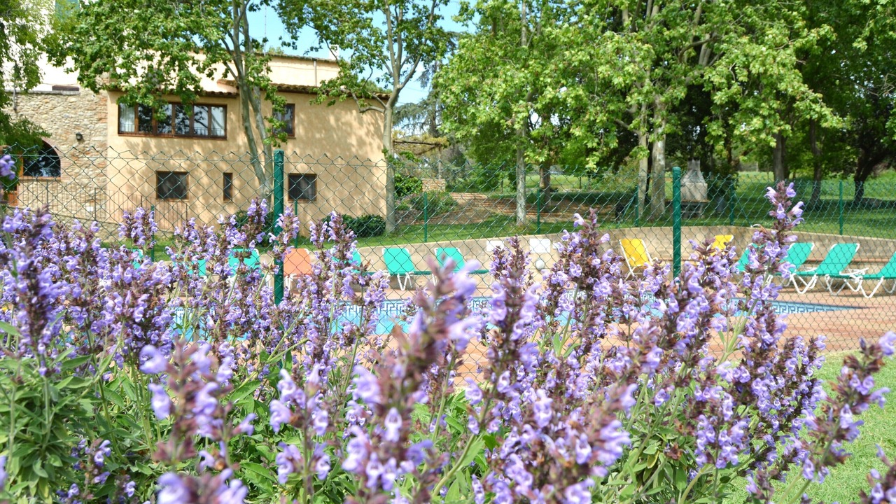 Photo of Outdoor in Vilademuls