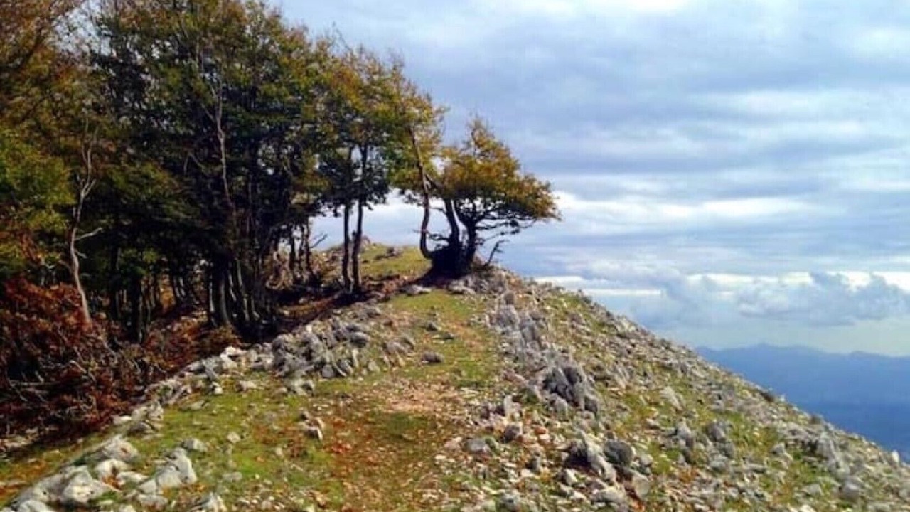 Photo of Outdoor in Foce Verde
