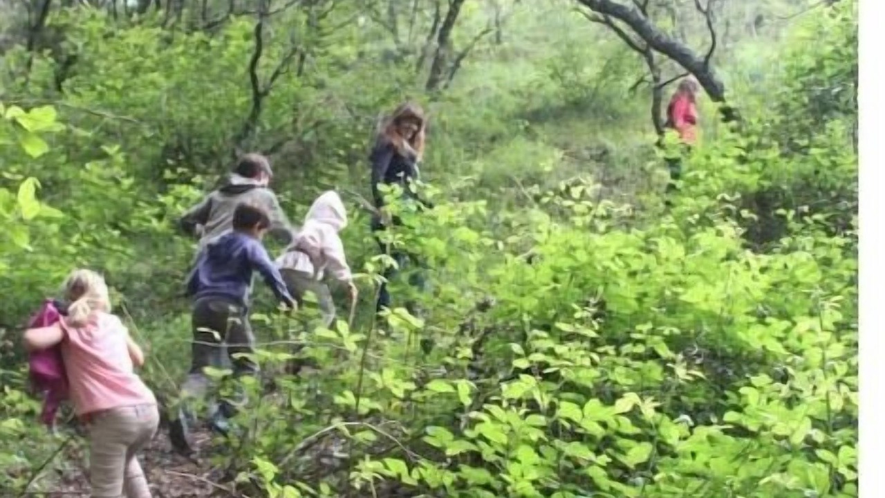 Photo of Others in Jabugo
