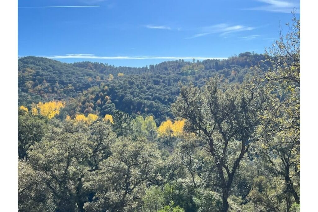 Photo of Outdoor in Jabugo
