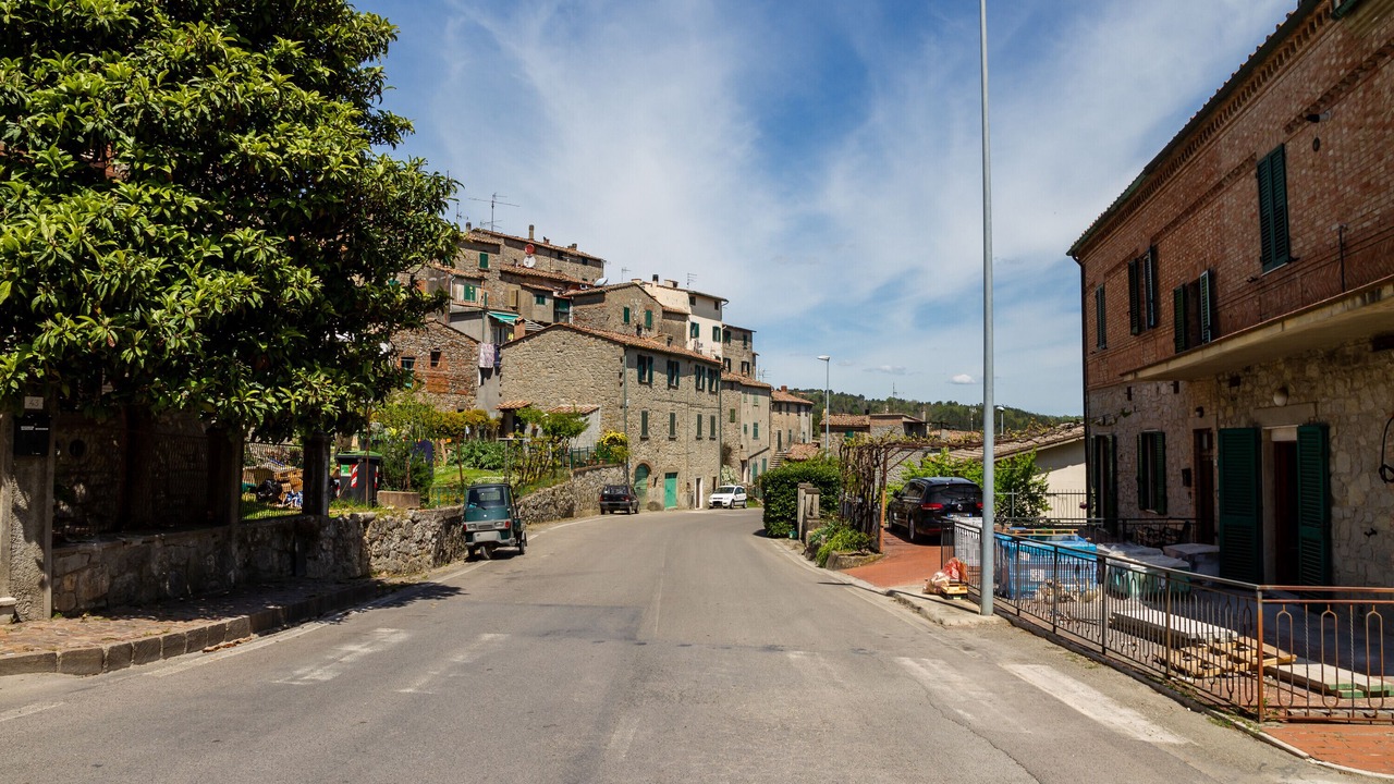 Photo of Others in Torniella