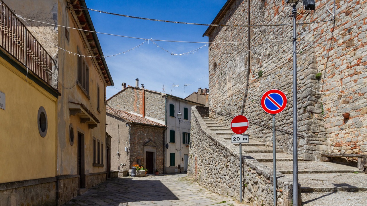 Photo of Others in Torniella