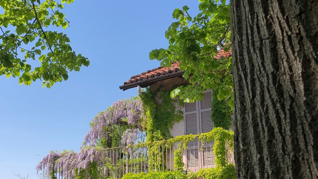 Photo of Outdoor in Ferrere