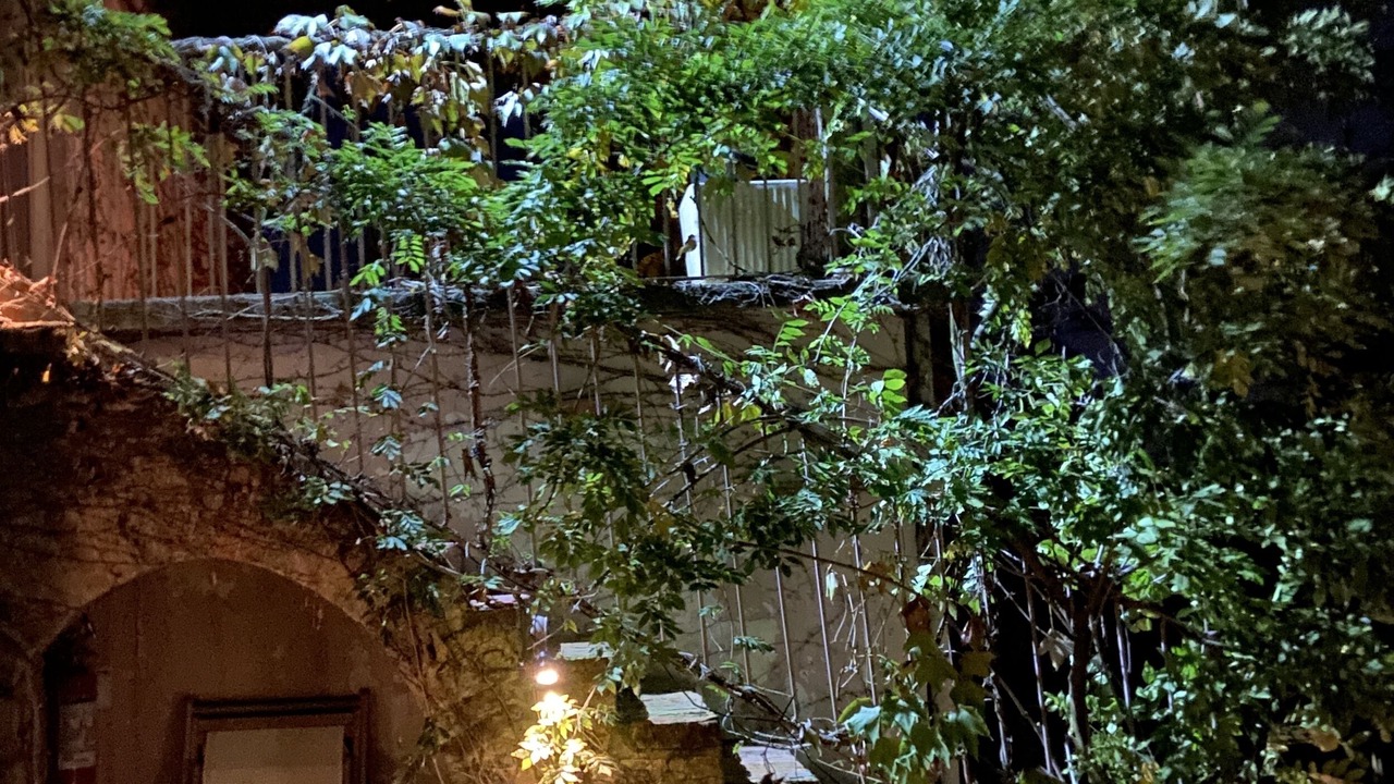 Photo of Outdoor in Ferrere