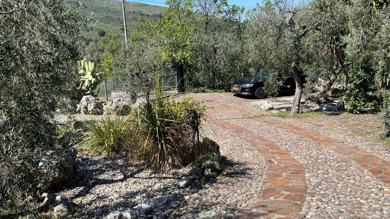 Photo of Outdoor in Sonnino