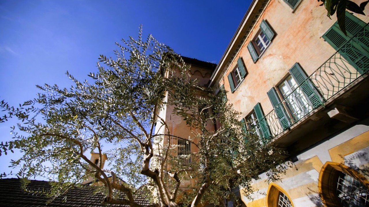 Photo of Outdoor in Tremezzo