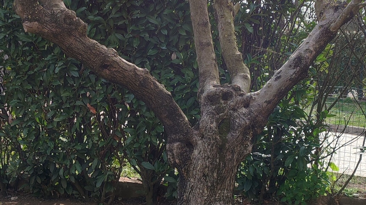 Photo of Outdoor in Latina Lido
