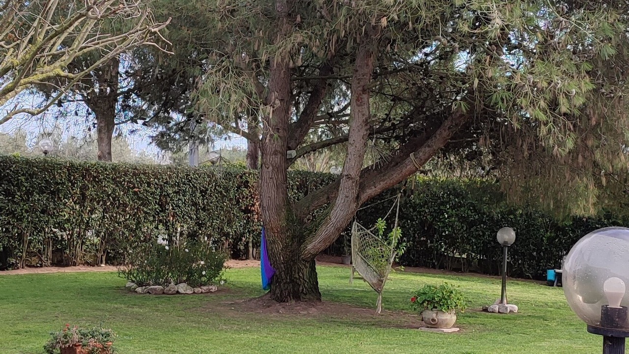 Photo of Outdoor in Latina Lido