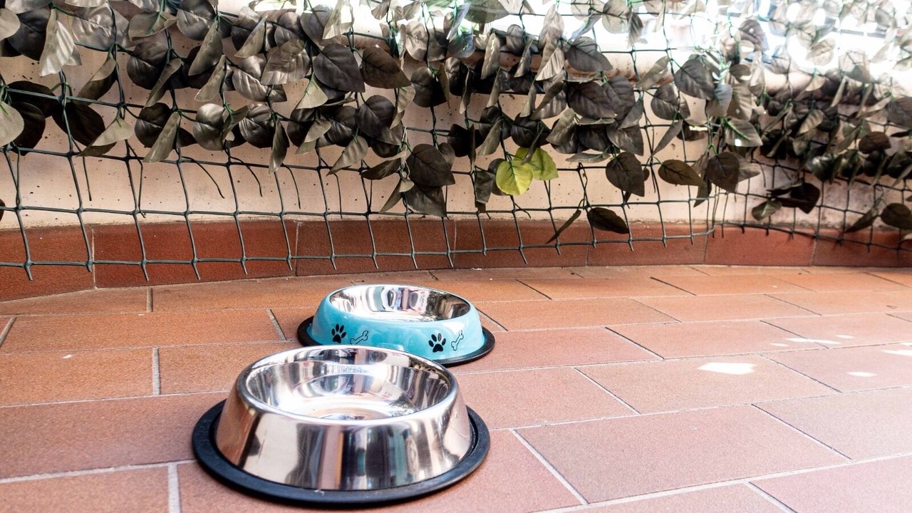 Photo of Outdoor in Bastia Umbra