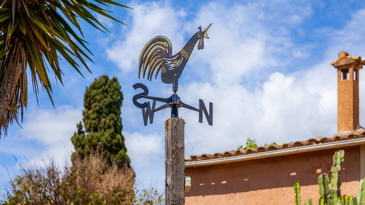Photo of Outdoor in Son Macia