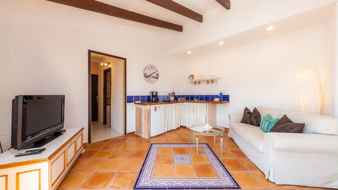 Photo of Livingroom in Son Macia