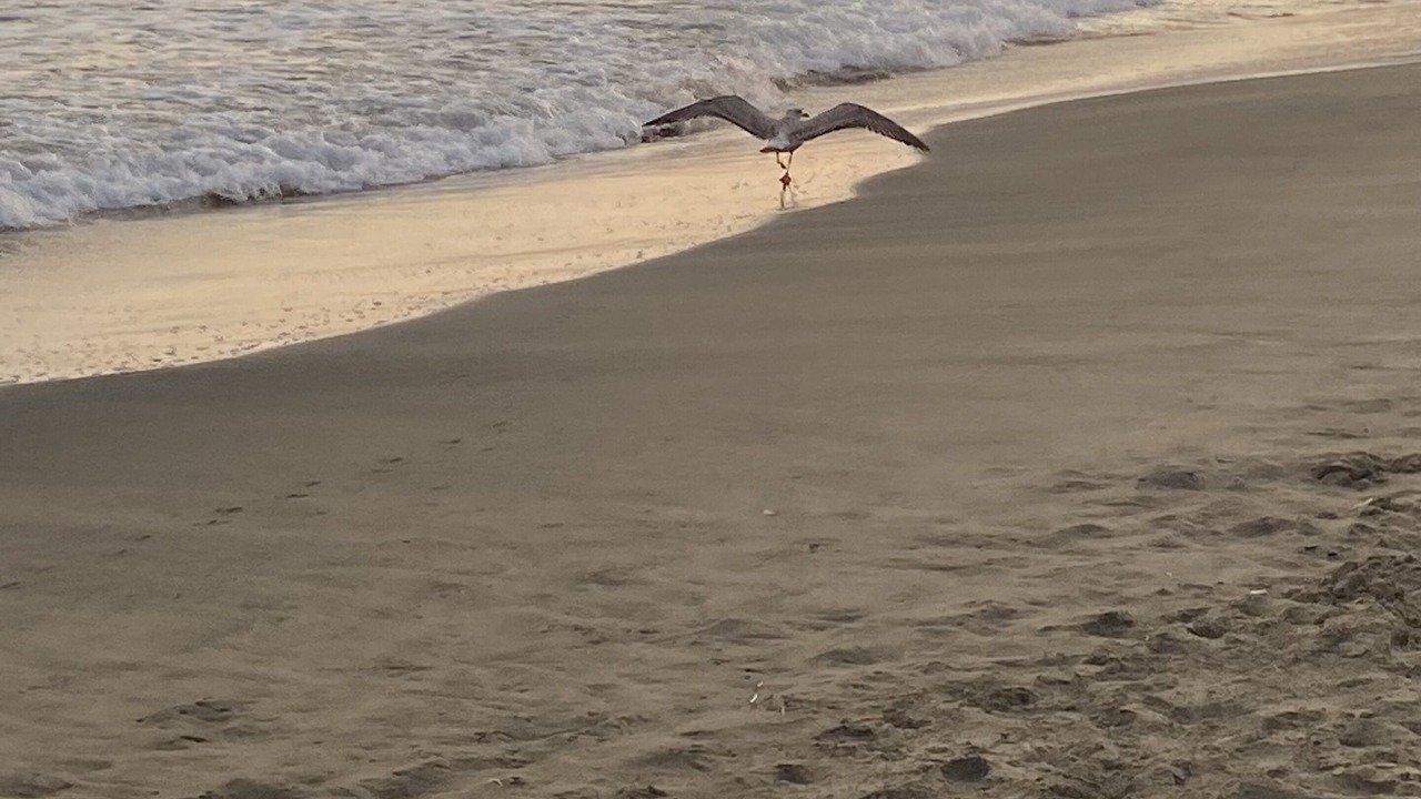 Photo of Others in Latina Lido