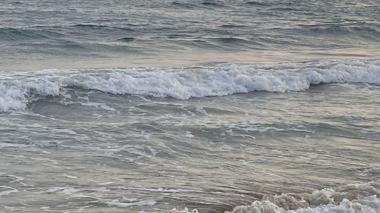 Photo of Others in Latina Lido
