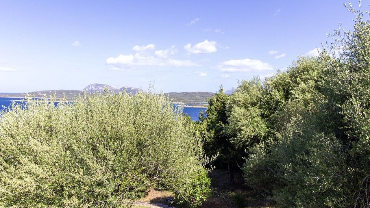 Photo of Outdoor in Golfo di Marinella