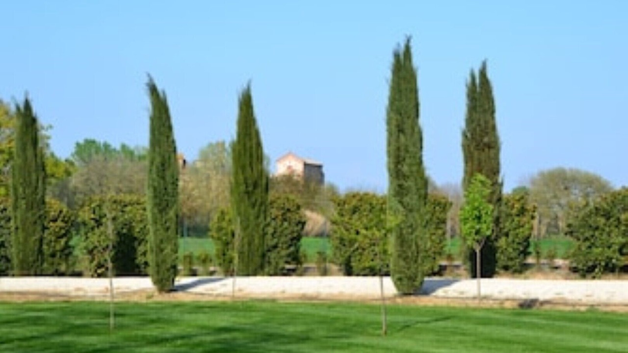 Photo of Outdoor in Castiglione della Valle