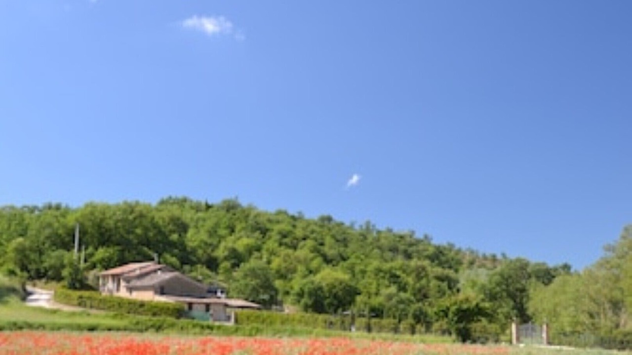Photo of Outdoor in San Biagio della Valle