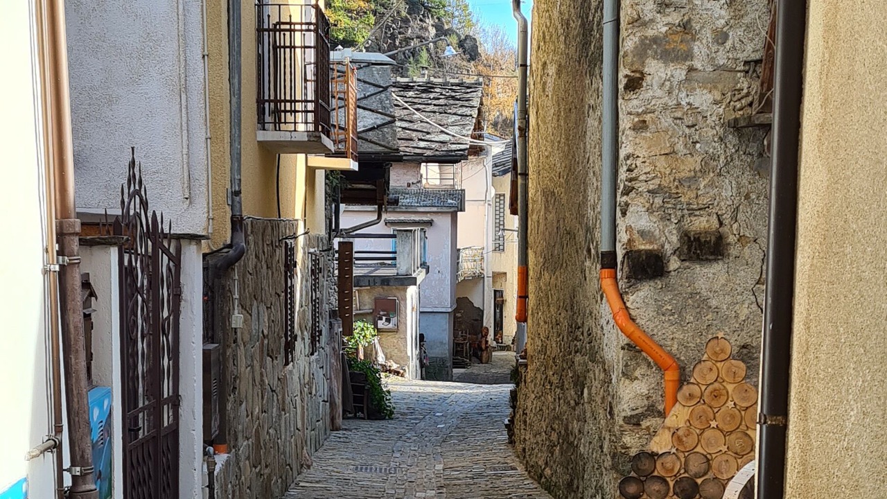 Photo of Outdoor in Roure