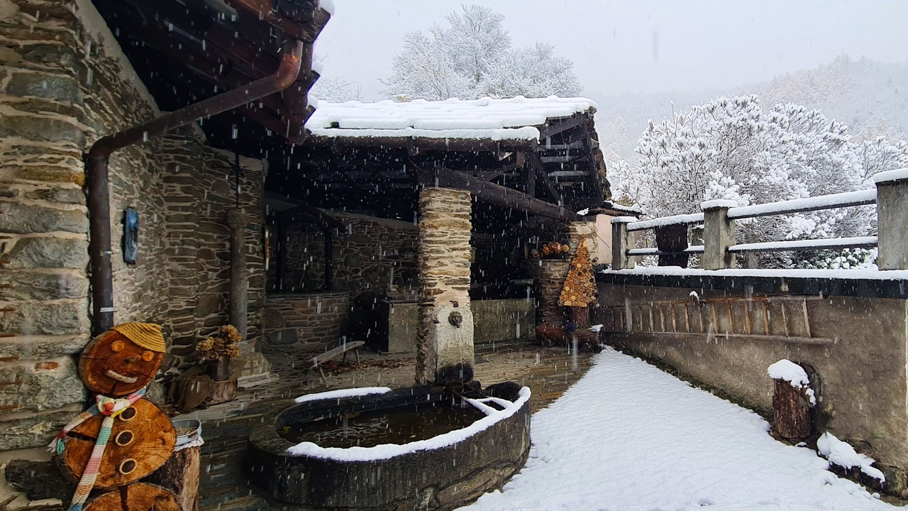 Photo of Outdoor in Roure