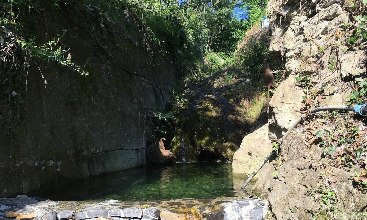 Photo of Outdoor in Villa Viani