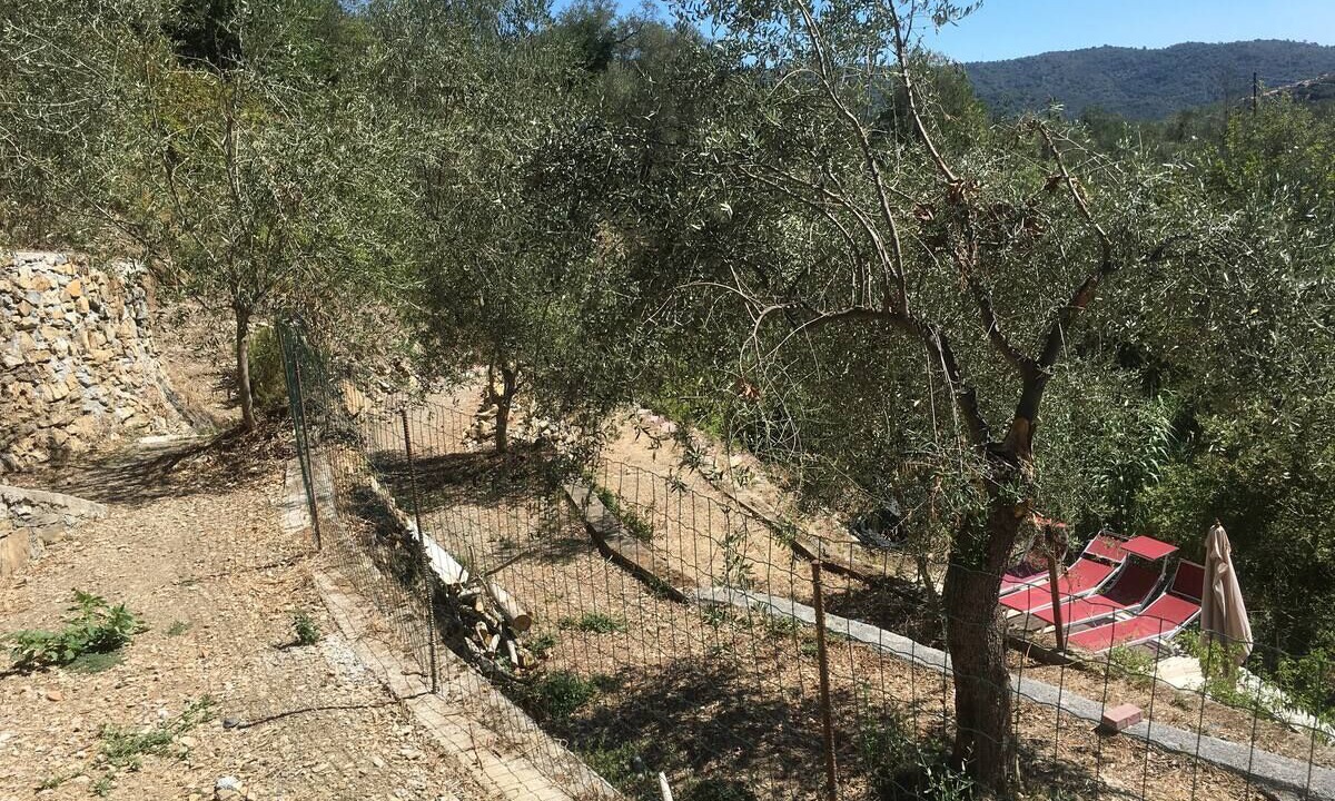 Photo of Outdoor in Villa Viani