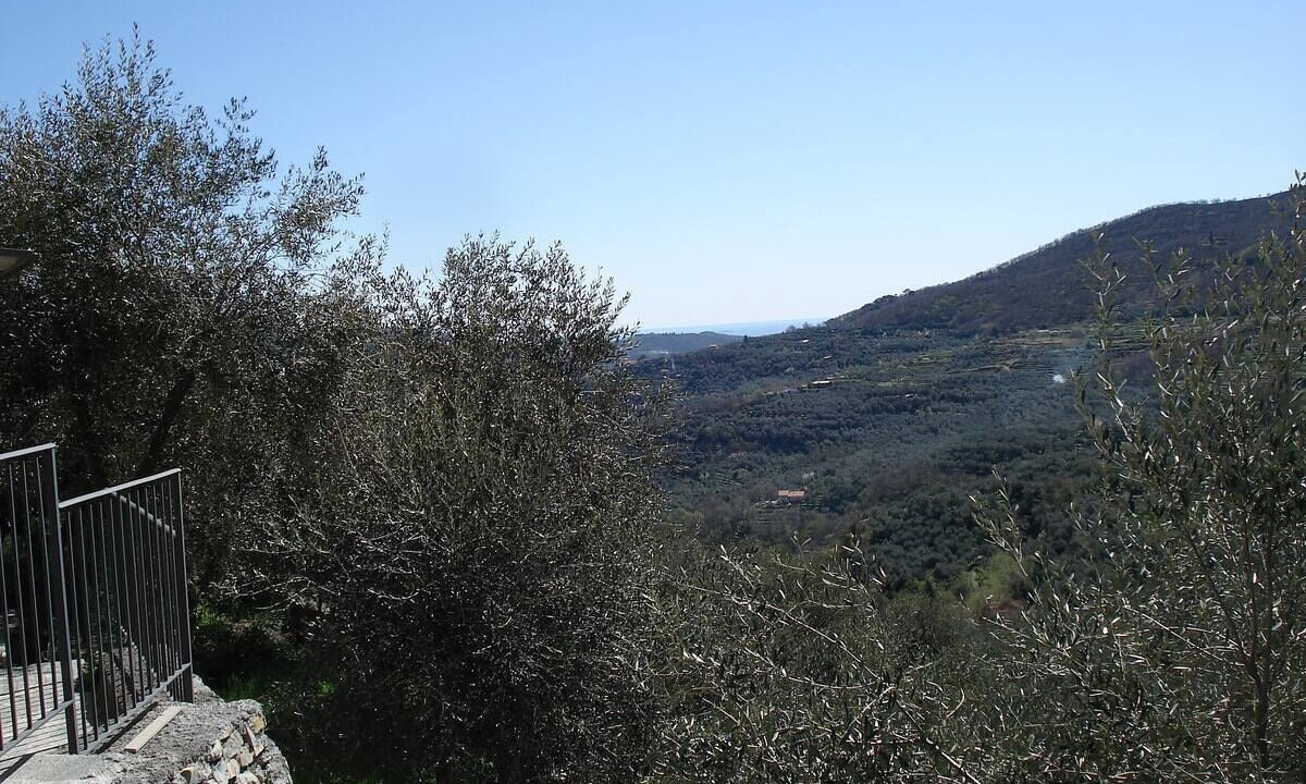 Photo of Others in Villa Viani