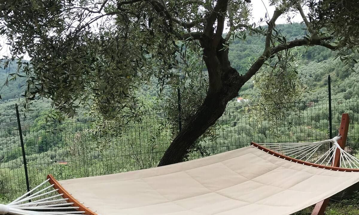 Photo of Outdoor in Villa Viani