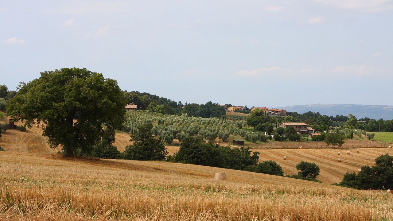 Photo of Others in Porano