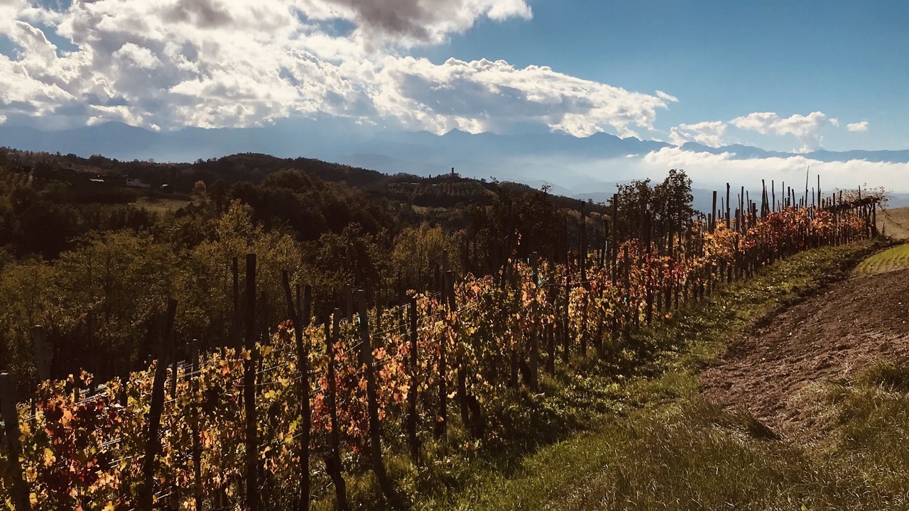 Photo of Outdoor in Carru
