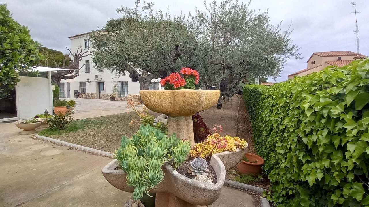 Photo of Outdoor in Altafulla