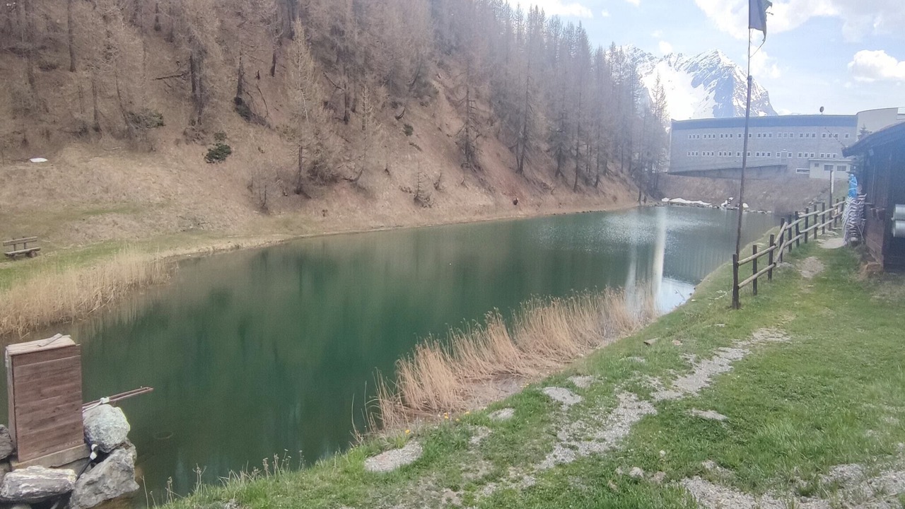 Photo of Others in Sestriere