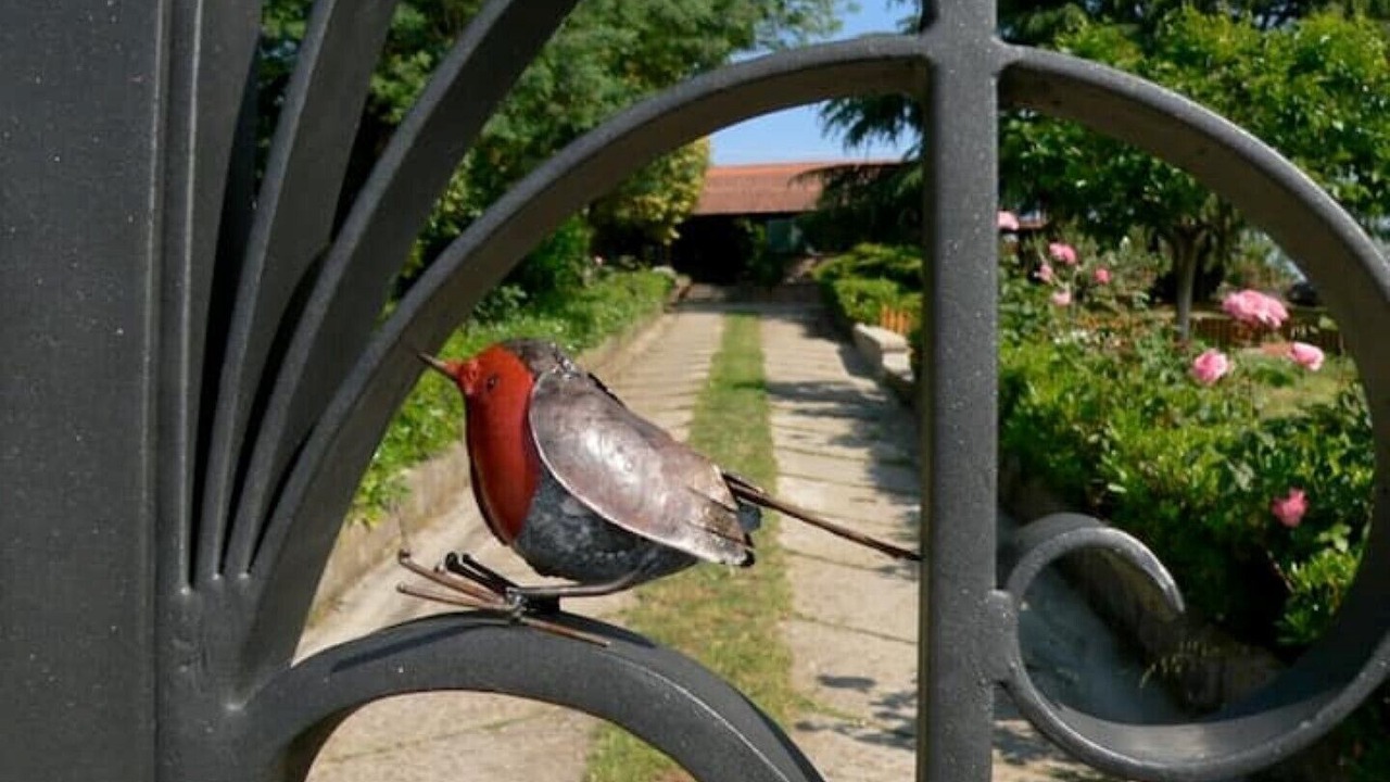 Photo of Outdoor in Velletri