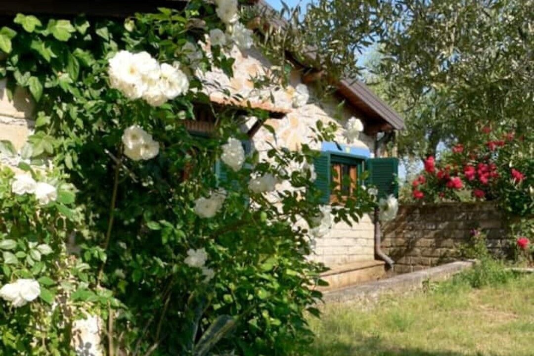 Photo of Outdoor in Velletri