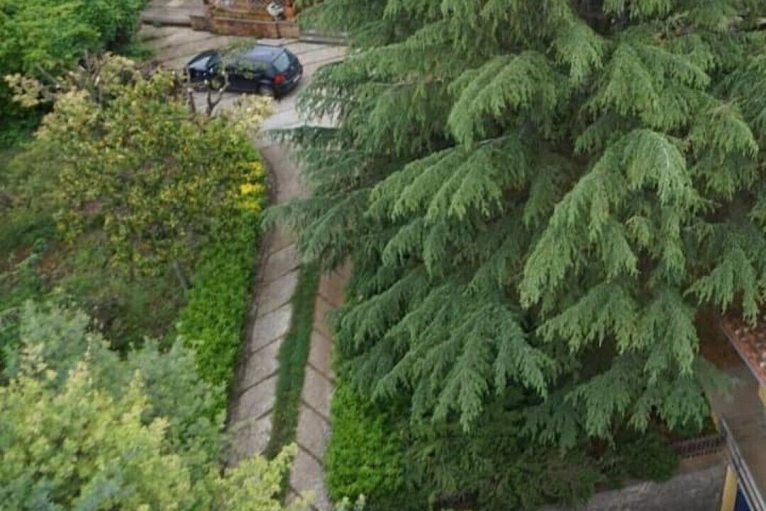 Photo of Outdoor in Velletri