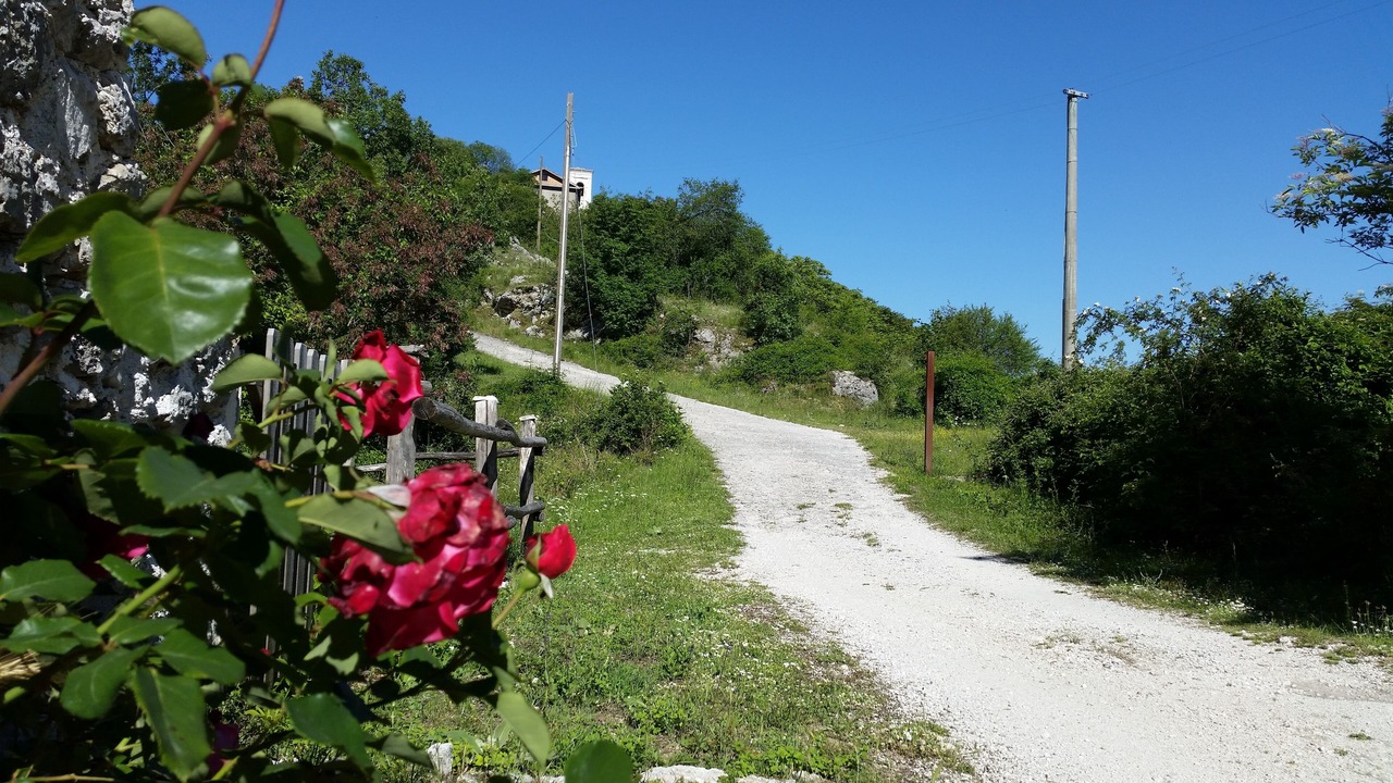 Photo of Outdoor in Scandriglia