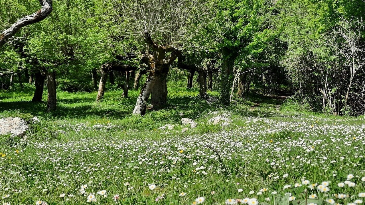 Photo of Outdoor in Scandriglia