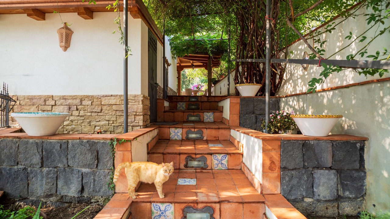 Photo of Outdoor in Bronte