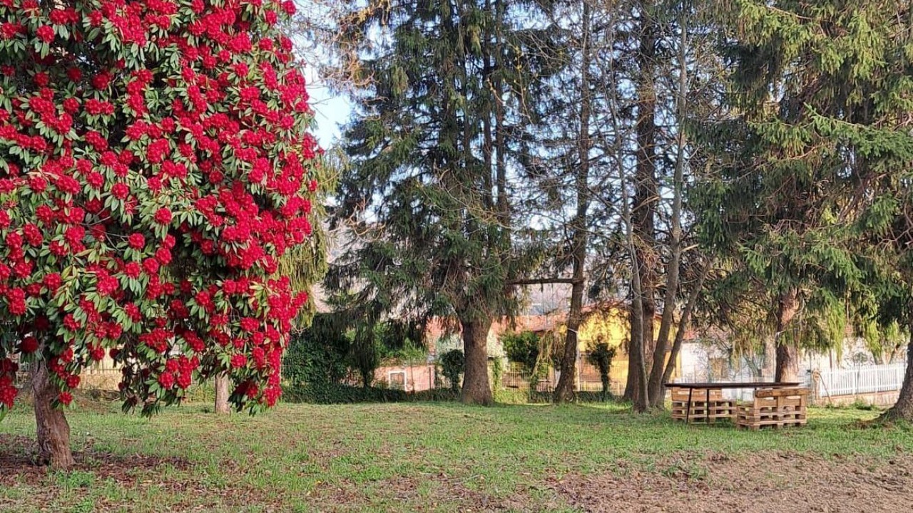 Photo of Outdoor in Calice al Cornoviglio