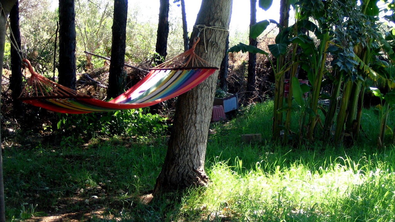 Photo of Outdoor in Policoro