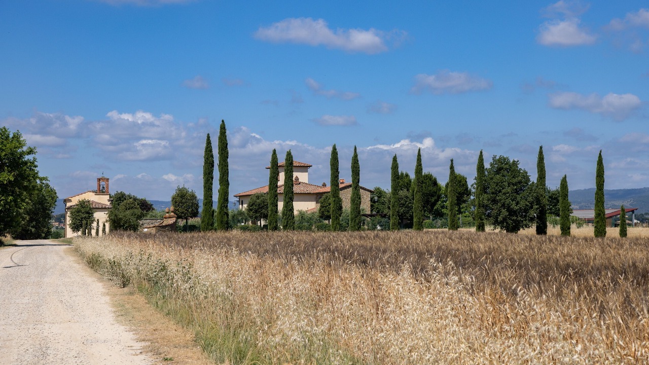 Photo of Others in Le Piazze