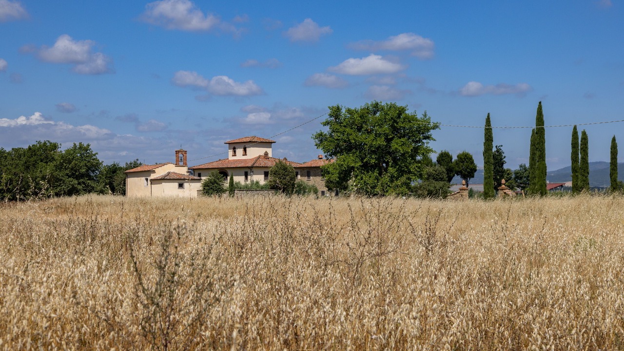 Photo of Outdoor in Le Piazze