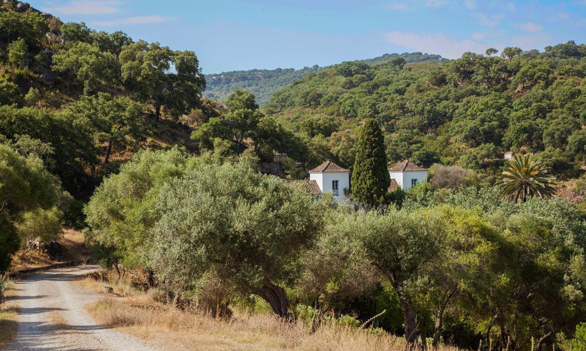 Photo of Others in Jimena de la Frontera