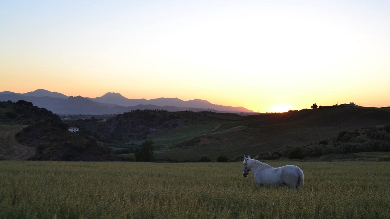 Photo of Others in Ronda