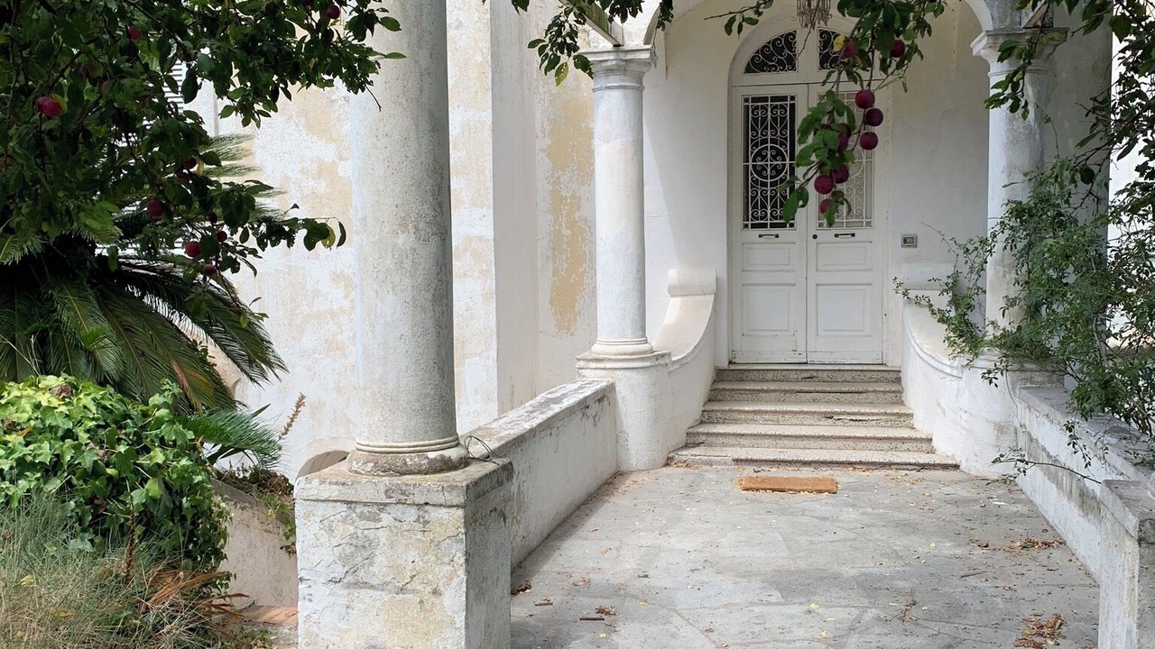Photo of Outdoor in Licola