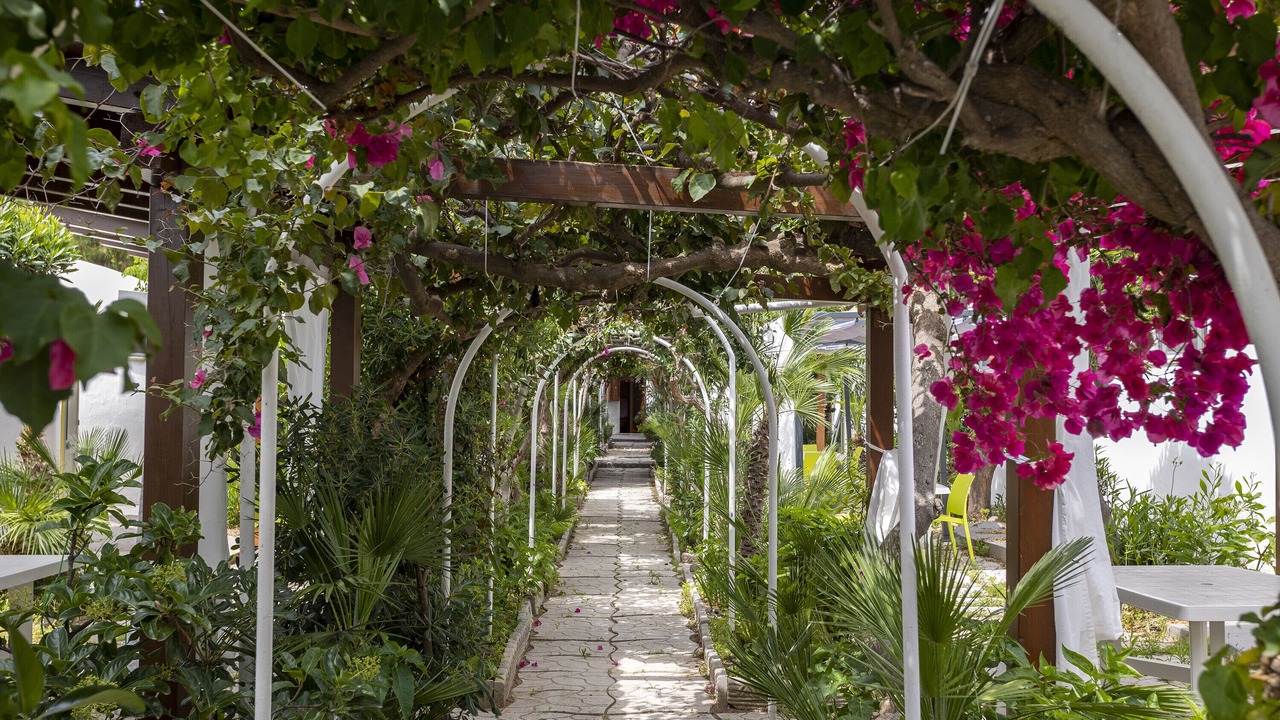 Photo of Outdoor in San Giorgio