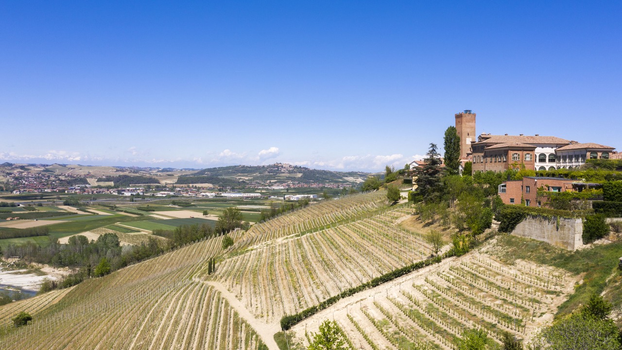 Photo of Others in Barbaresco