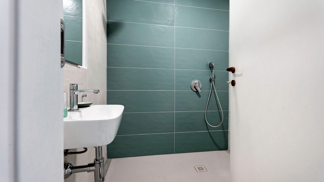 Photo of Bathroom in Ispra