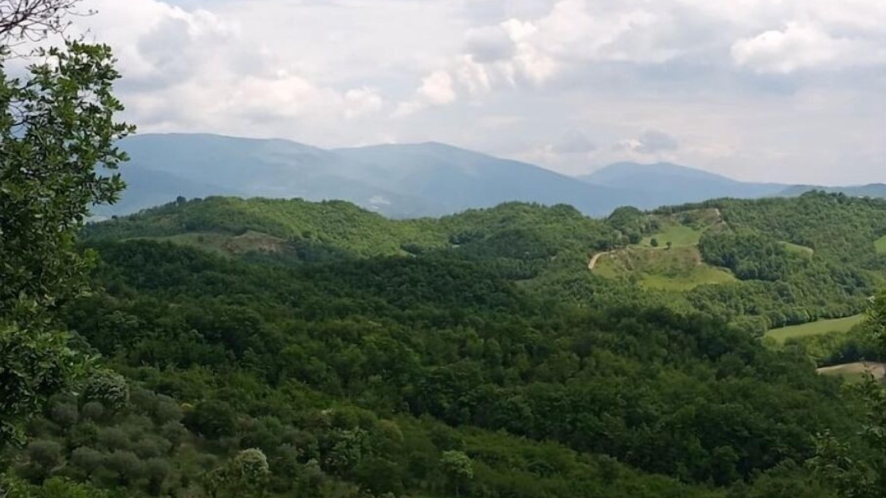 Photo of Outdoor in Padule