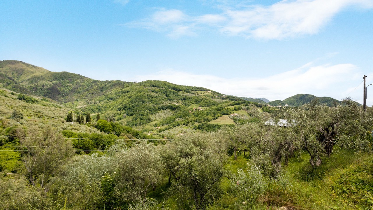 Photo of Others in Castelnuovo Magra